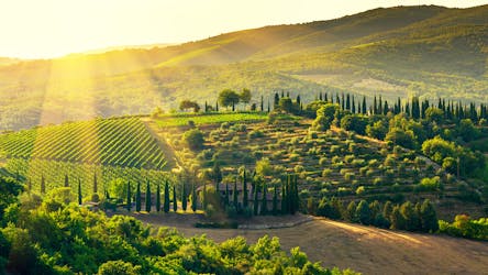 Private tour of the Chianti wine region from Florence